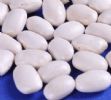 White Kidney Bean Extract 